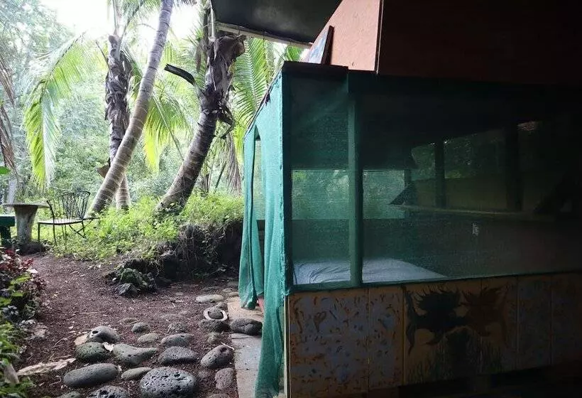 Cinderland Ecovillage   Hostel