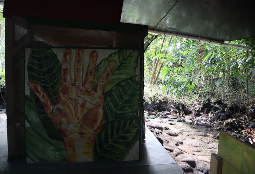 Cinderland Ecovillage   Hostel