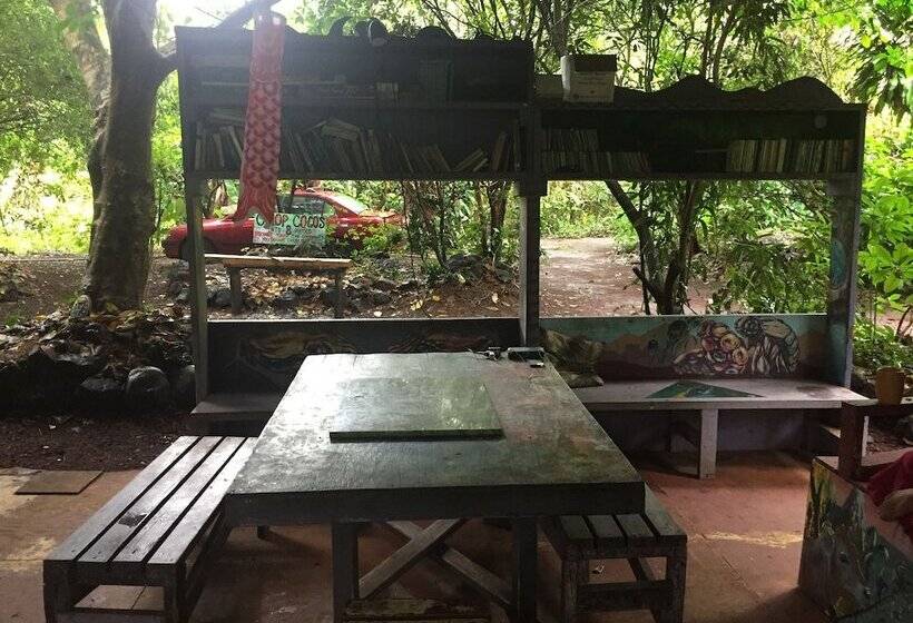 Cinderland Ecovillage   Hostel