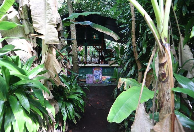 Cinderland Ecovillage   Hostel