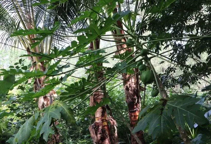 Cinderland Ecovillage   Hostel