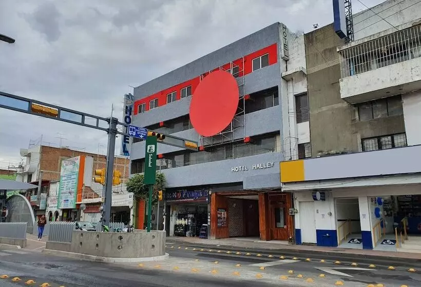Hotel Halley