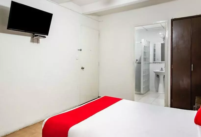 Hotel Halley