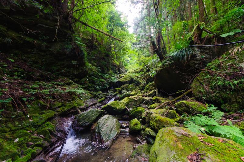ペンション 古民家グランピングmatoba
