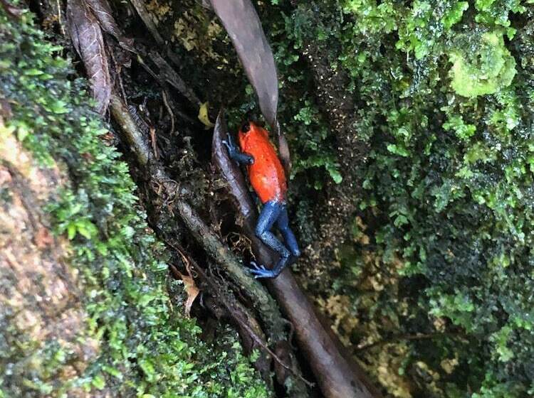 هتل Sangregado Lodge