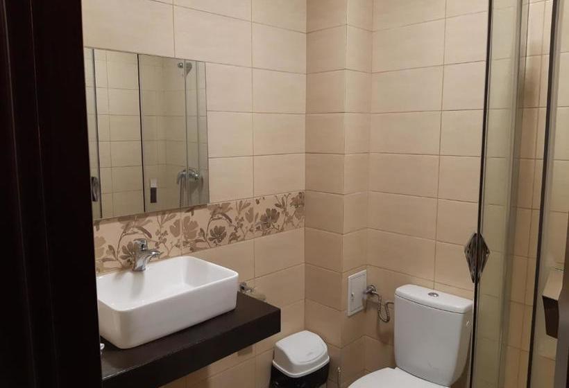 בית מלון כפרי Ro&mario Barlad