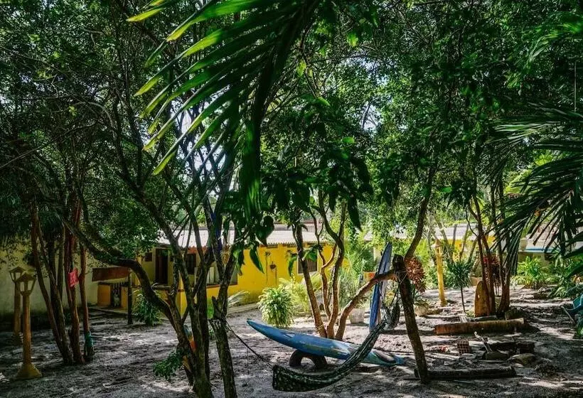 Macaco Surf Hostel