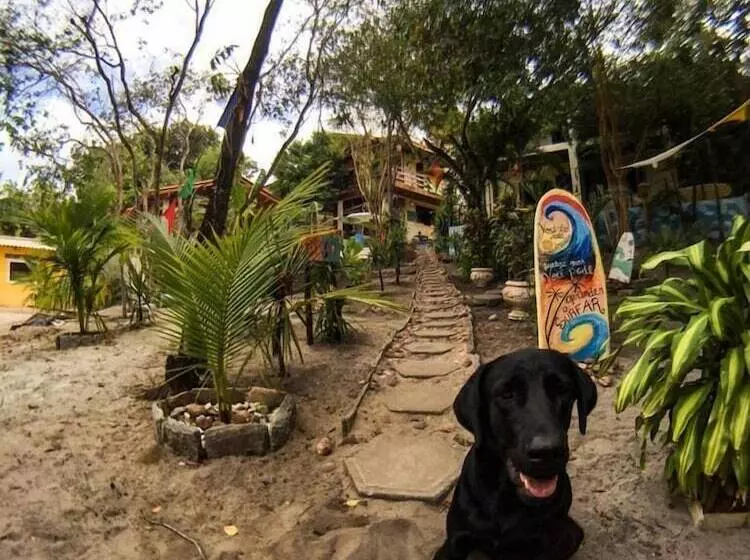 Macaco Surf Hostel