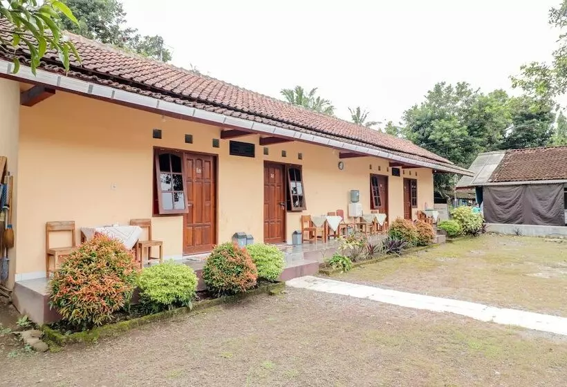 ユースホステル Penginapan Roro Mendut Syariah
