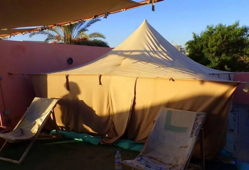 هتل Le Triskell Auberge   Hostel