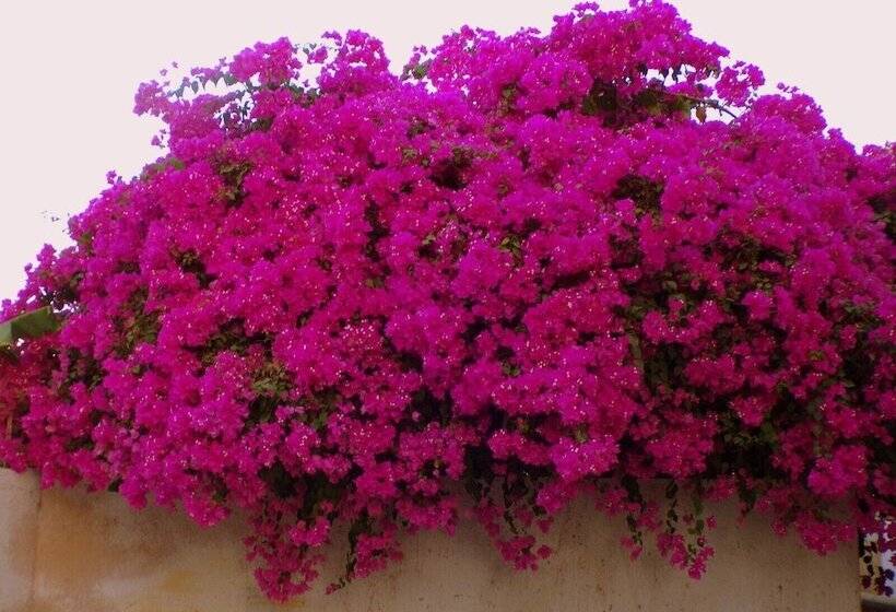 هتل Le Triskell Auberge Hostel