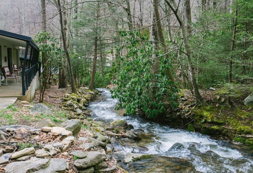 فندق Route 19 Inn