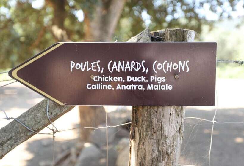 هتل Le Rendez Vous De L été