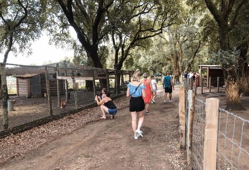 هتل Le Rendez Vous De L été