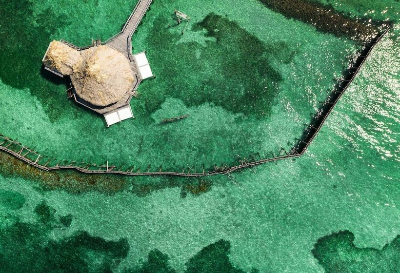 ホテル Thatch Caye, A Muy Ono Resort