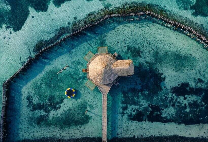 ホテル Thatch Caye, A Muy Ono Resort