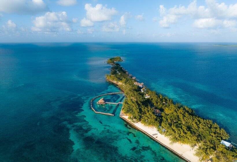 ホテル Thatch Caye, A Muy Ono Resort