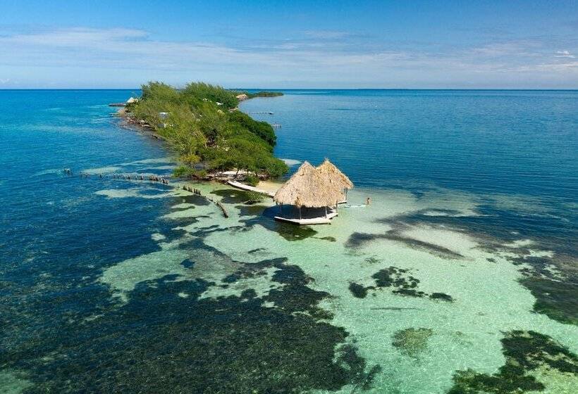 ホテル Thatch Caye, A Muy Ono Resort
