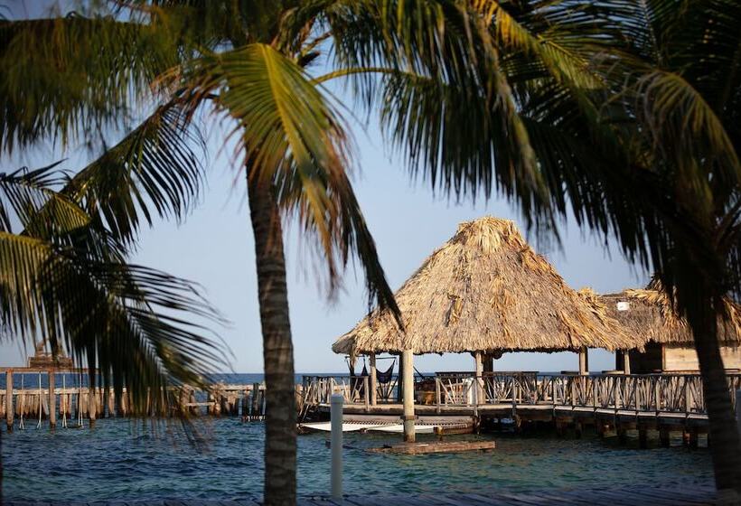 ホテル Thatch Caye, A Muy Ono Resort