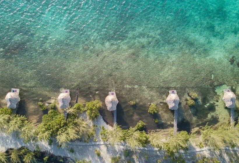 ホテル Thatch Caye, A Muy Ono Resort