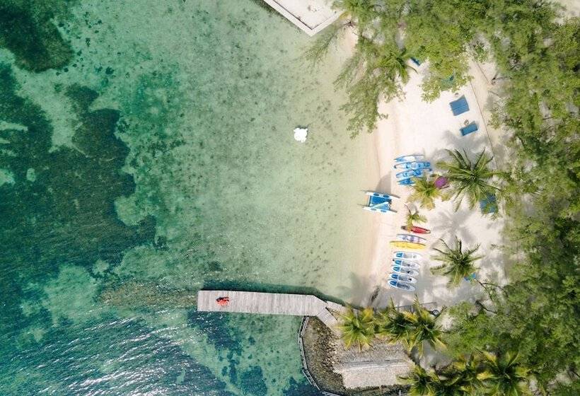 ホテル Thatch Caye, A Muy Ono Resort