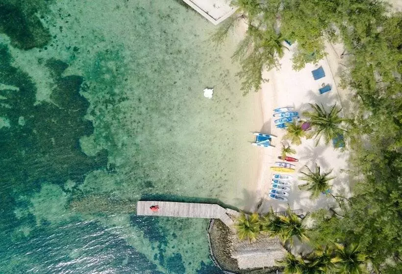 ホテル Thatch Caye, A Muy Ono Resort