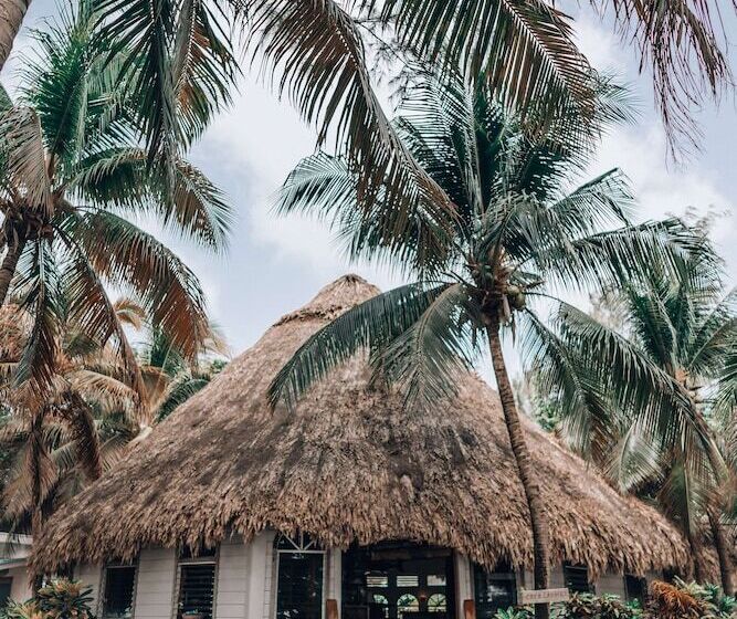 ホテル Thatch Caye, A Muy Ono Resort