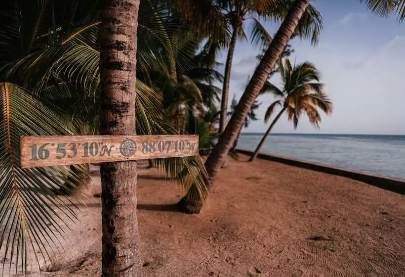 ホテル Thatch Caye, A Muy Ono Resort