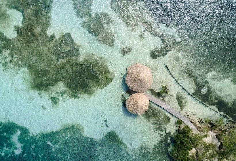 ホテル Thatch Caye, A Muy Ono Resort