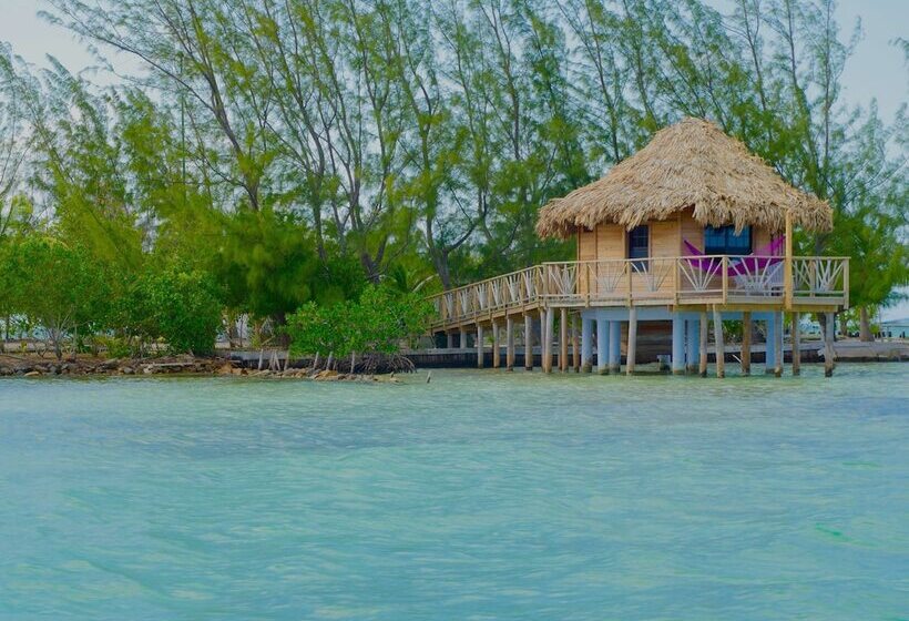 ホテル Thatch Caye, A Muy Ono Resort