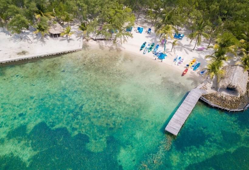 ホテル Thatch Caye, A Muy Ono Resort