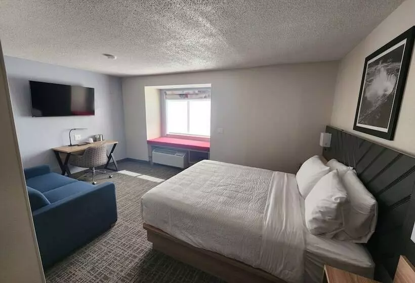 فندق Best Western Buffalo Inn & Suites