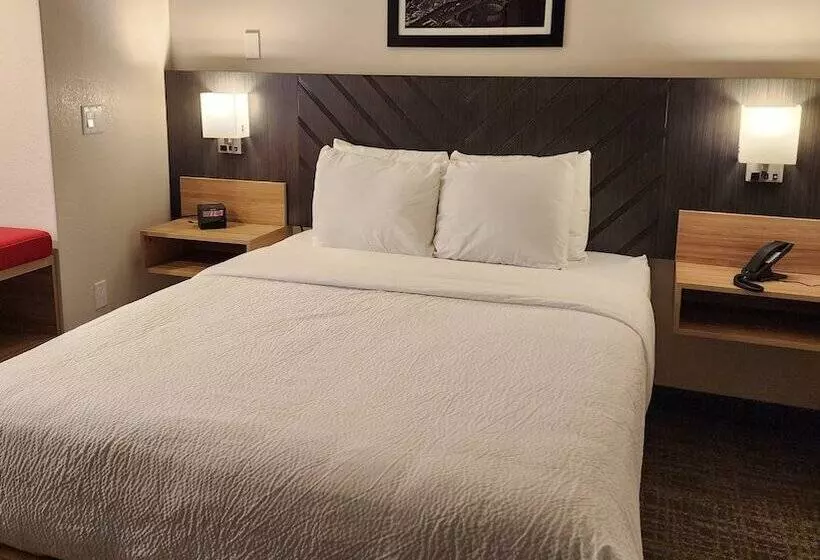 فندق Best Western Buffalo Inn & Suites