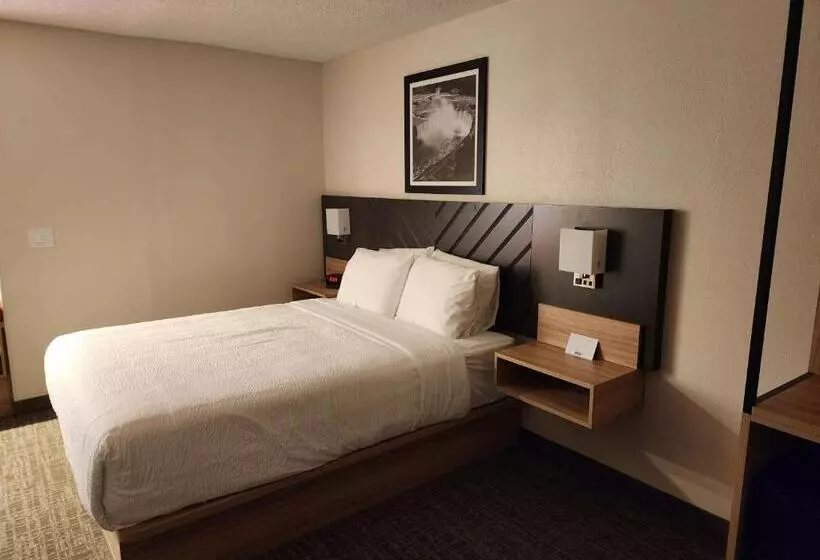 فندق Best Western Buffalo Inn & Suites