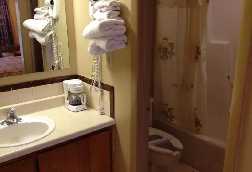 호텔 Mcclellan Inn