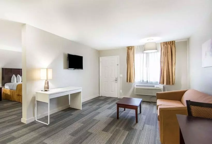 酒店 Quality Inn & Suites By The Parks