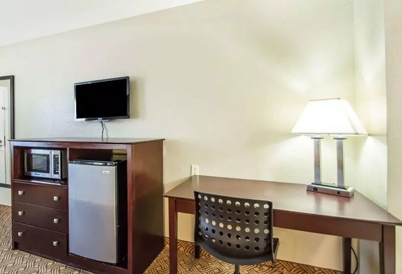 酒店 Quality Inn & Suites By The Parks