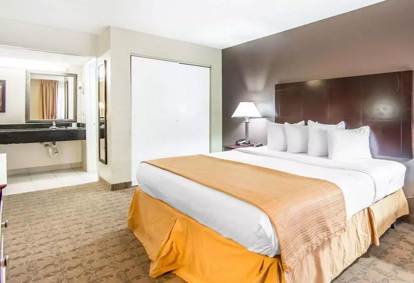 酒店 Quality Inn & Suites By The Parks
