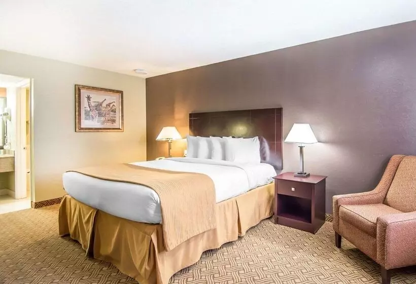 酒店 Quality Inn & Suites By The Parks