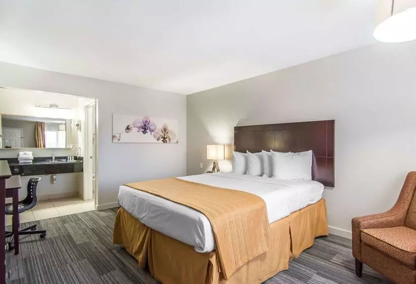 酒店 Quality Inn & Suites By The Parks