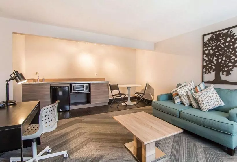 酒店 Quality Inn & Suites By The Parks