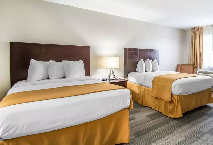 酒店 Quality Inn & Suites By The Parks