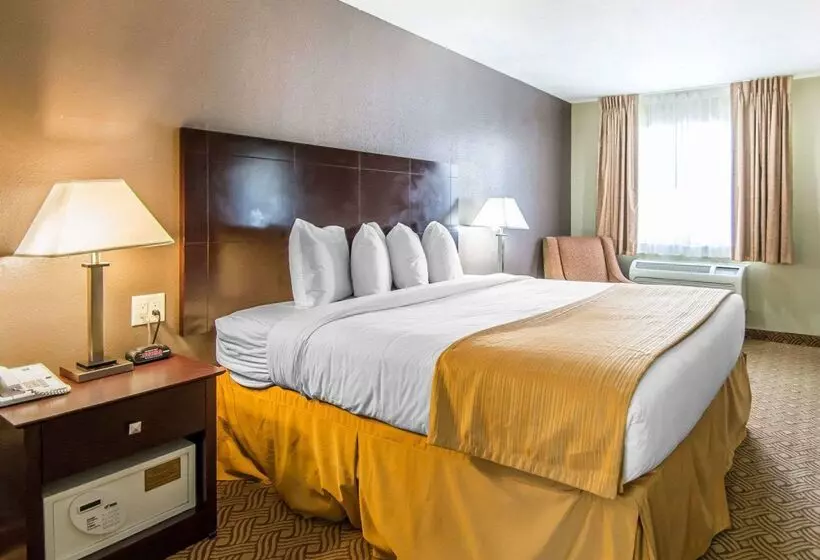 酒店 Quality Inn & Suites By The Parks