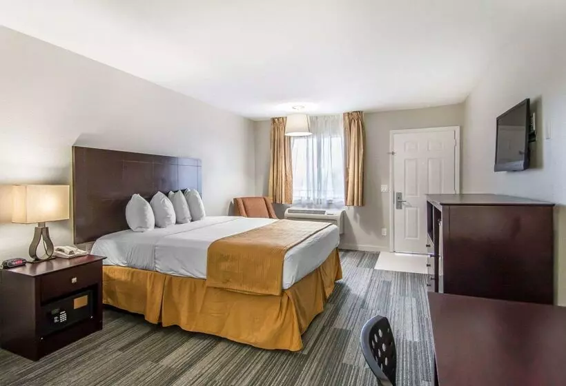 酒店 Quality Inn & Suites By The Parks