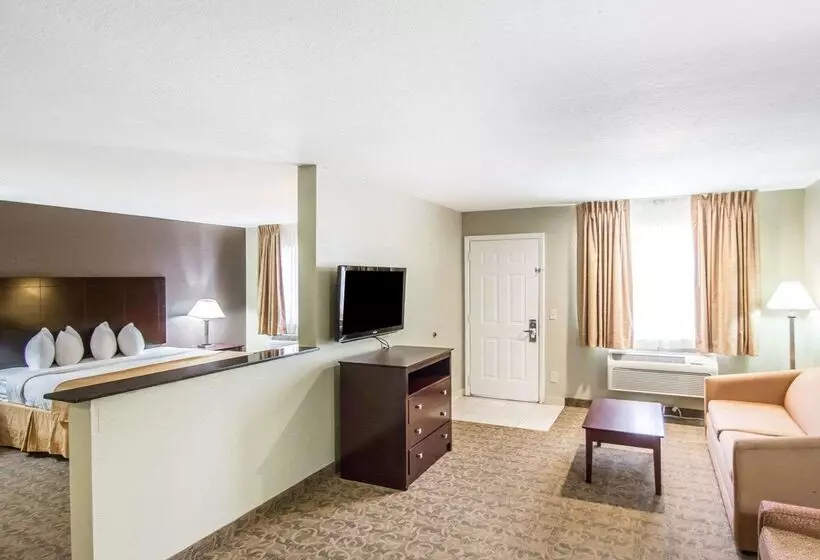 酒店 Quality Inn & Suites By The Parks