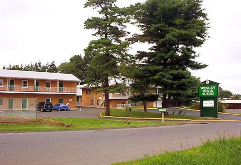 فندق Wesley Inn & Suites