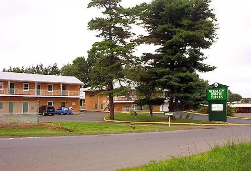 호텔 Wesley Inn & Suites