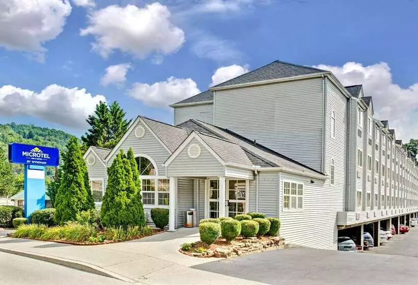 Microtel Inn & Suites By Wyndham Gatlinburg