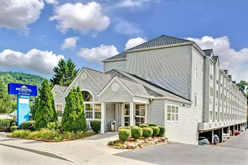 Microtel Inn & Suites By Wyndham Gatlinburg