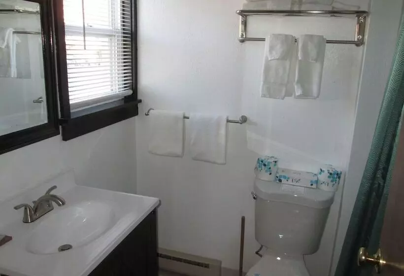 Mittersill Alpine Resort